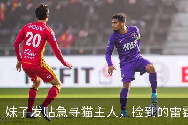 妹子发贴急寻猫主人，捡到的雷霆大猫，一直“哐哐”揍她和她的猫，养不住了...原住民：妈妈捡了一个打手回家啊！