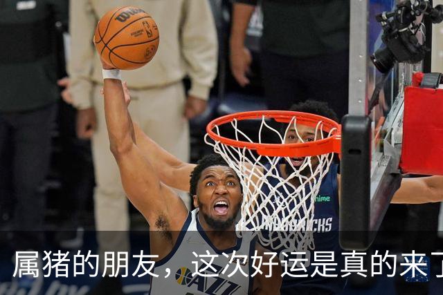 属猪的朋友，这次好运是真的来了