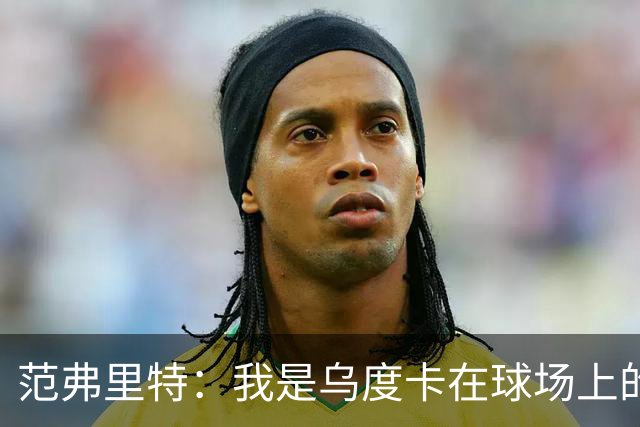 范弗里特：我是乌度卡在球场上的一个翻译 我当老好人他当坏人